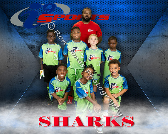 Sharks