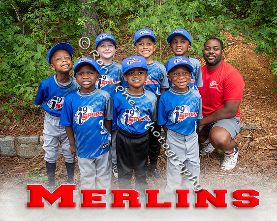 Merlins