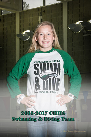 CHHS SD 2016-29