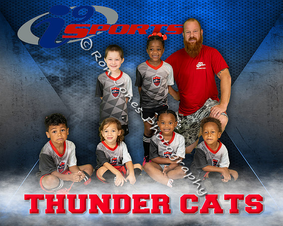 Thunder Cats
