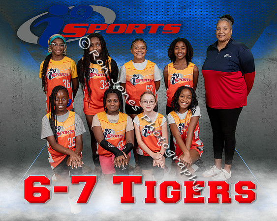 6 7 Tigers