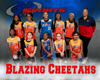Blazing Cheetahs