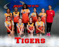 Tigers