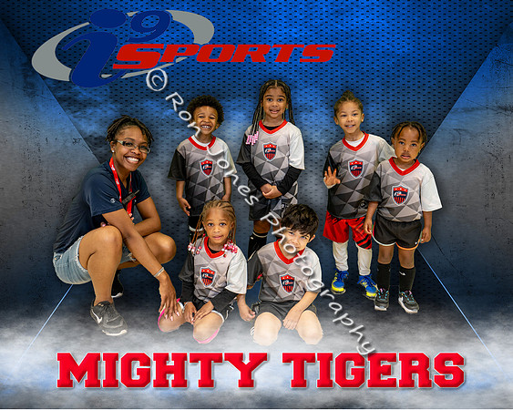 Mighty Tigers