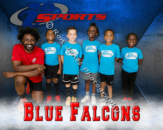 Blue Falcons