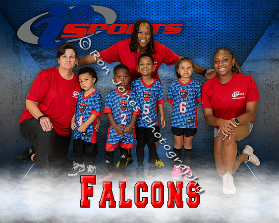Falcons