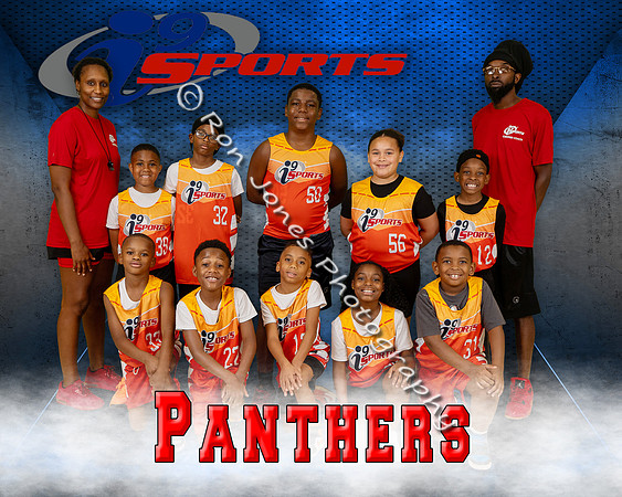 Panthers