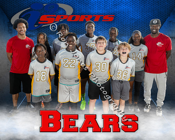 Bears
