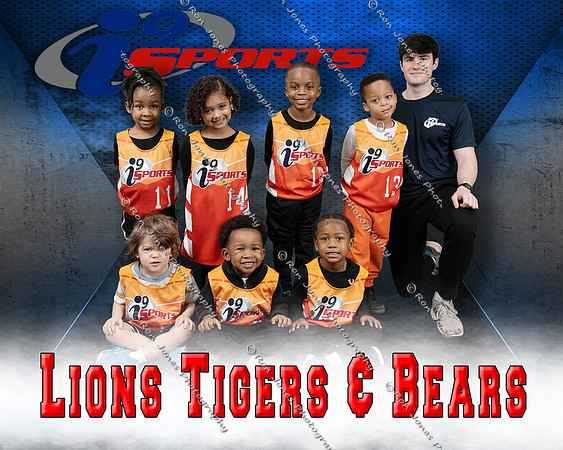 Lions tigers bears