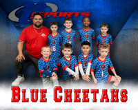 Blue Cheetahs