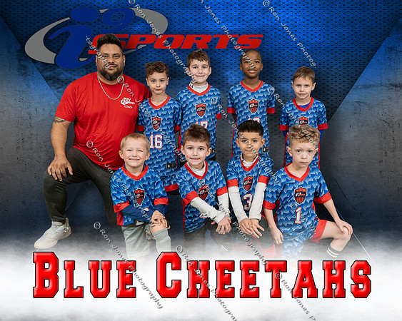 Blue Cheetahs