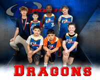 Dragons