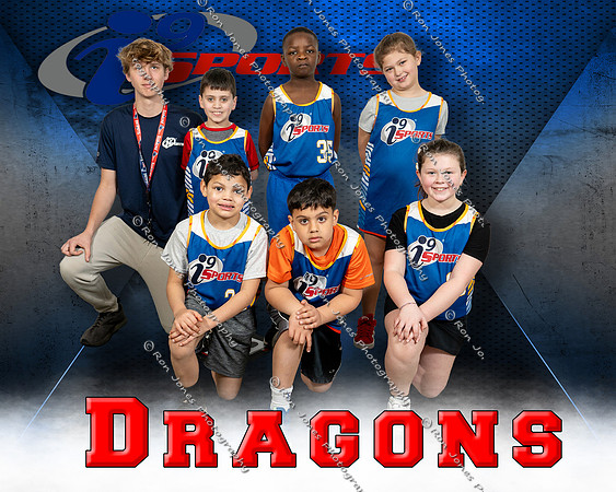 Dragons