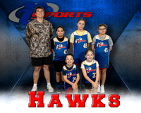 Hawks
