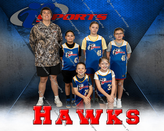 Hawks
