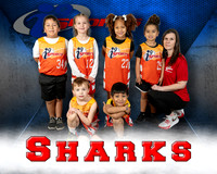 Sharks