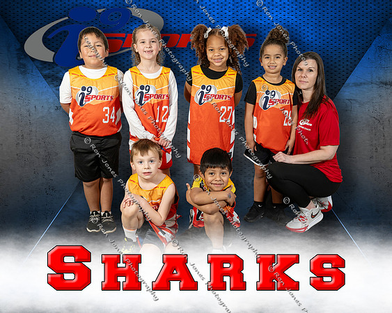 Sharks
