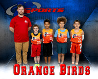 Orange Birds