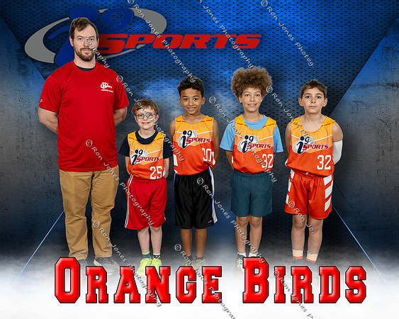 Orange Birds