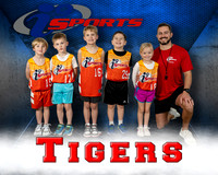 Tigers