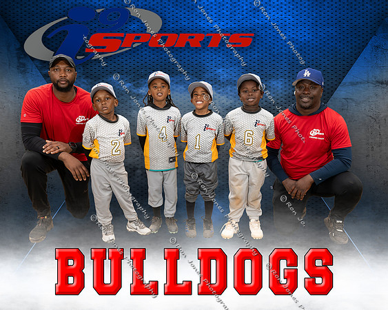 BULLDOGS