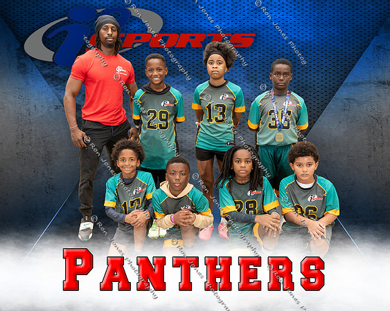 Panthers