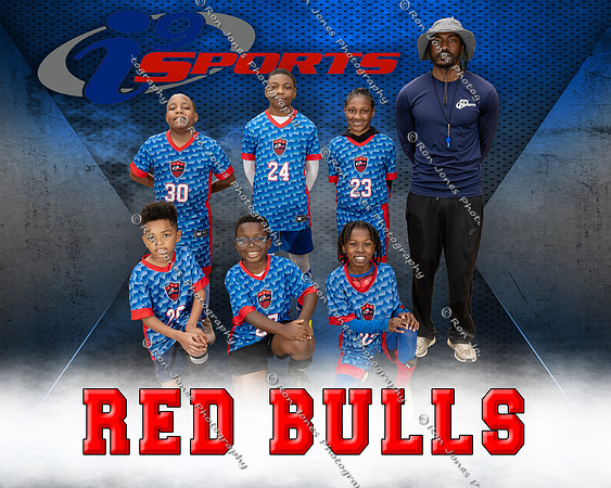 RED BULLS
