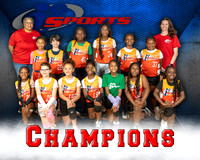 Champions