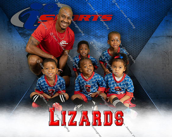 Lizards
