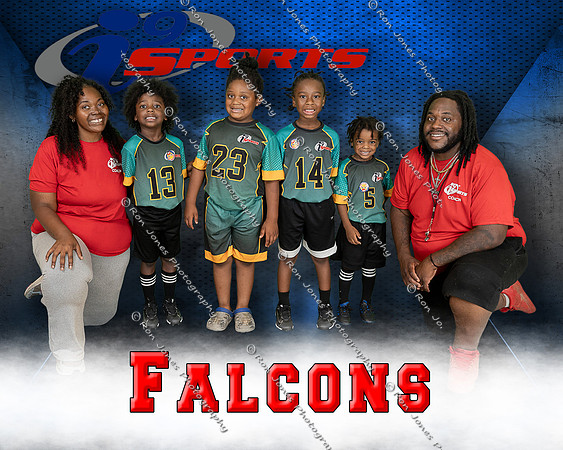 Falcons
