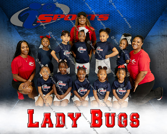 Lady Bugs