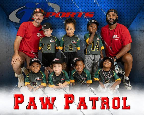 Paw Patrol