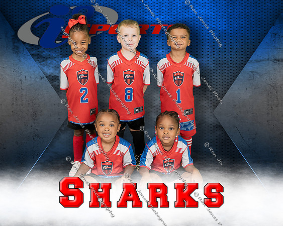 Sharks