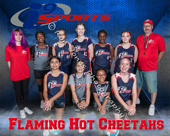 Flaming Hot Cheetahs