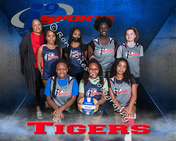 Tigers