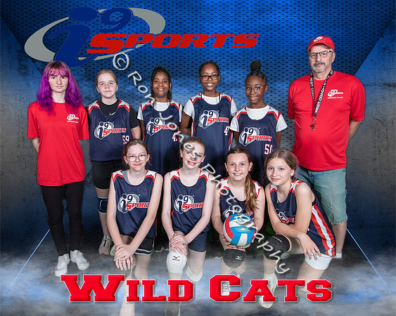 Wild Cats