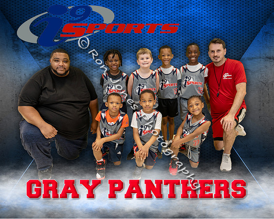 Gray Panthers