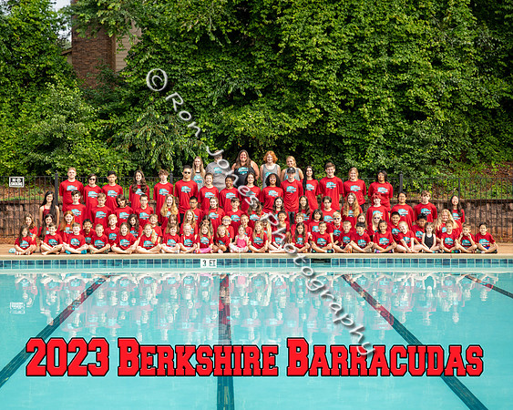 Team