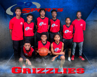 Grizzlies
