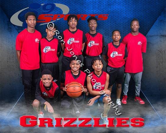 Grizzlies