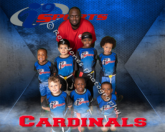 Cardinals