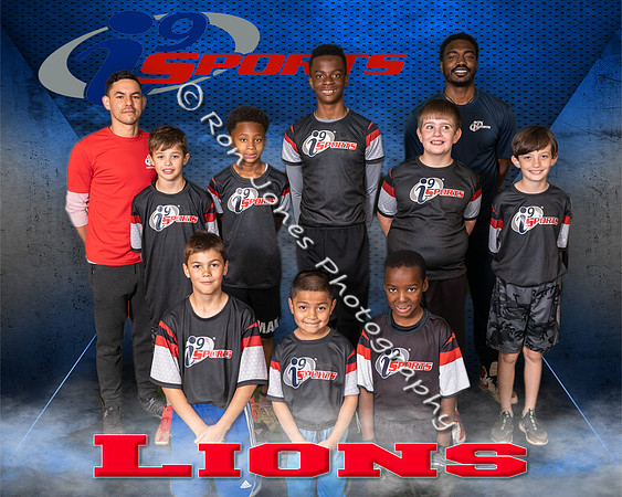 Lions