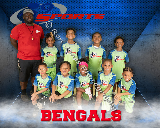 Bengals