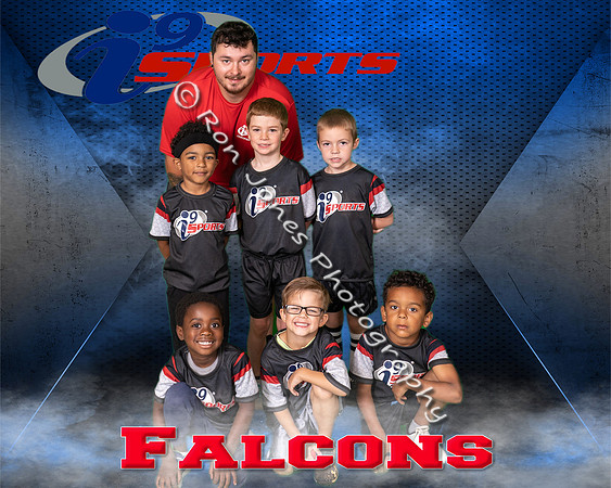 Falcons