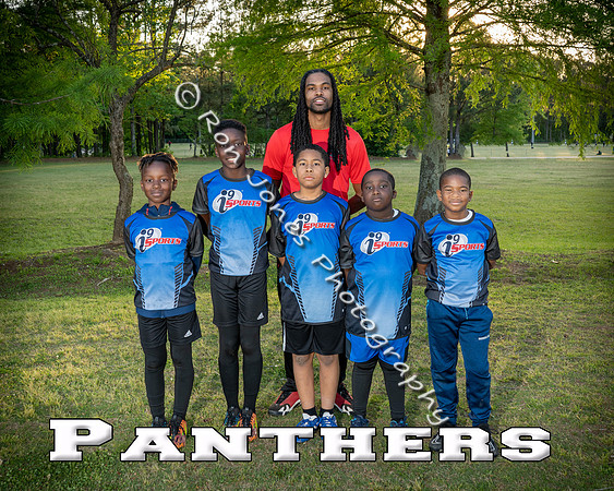 Panthers