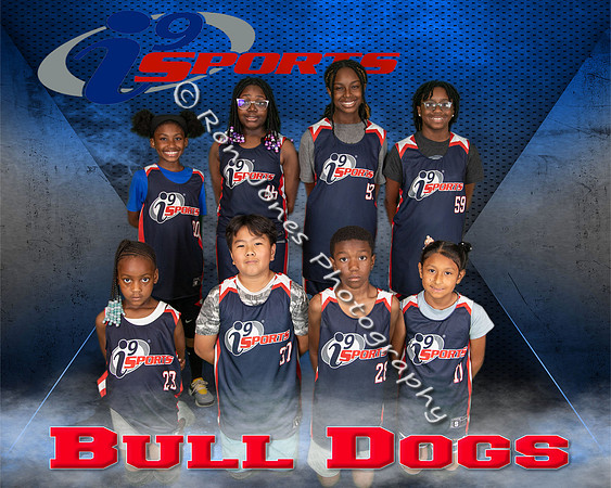 Bull Dogs