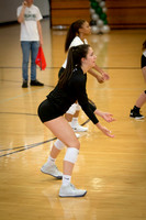 CHHS Volleyball Senior Night
