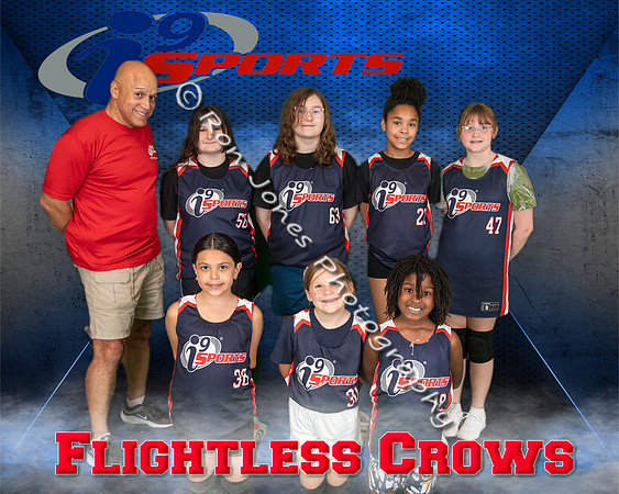 Flightless Crows