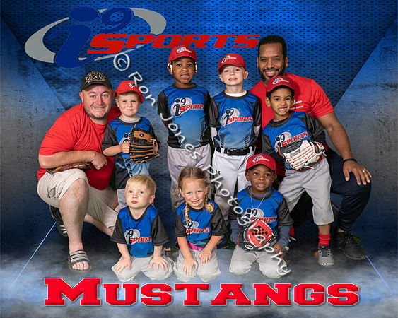 Mustangs