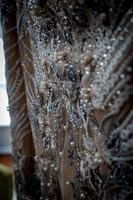 J&S Wedding-19